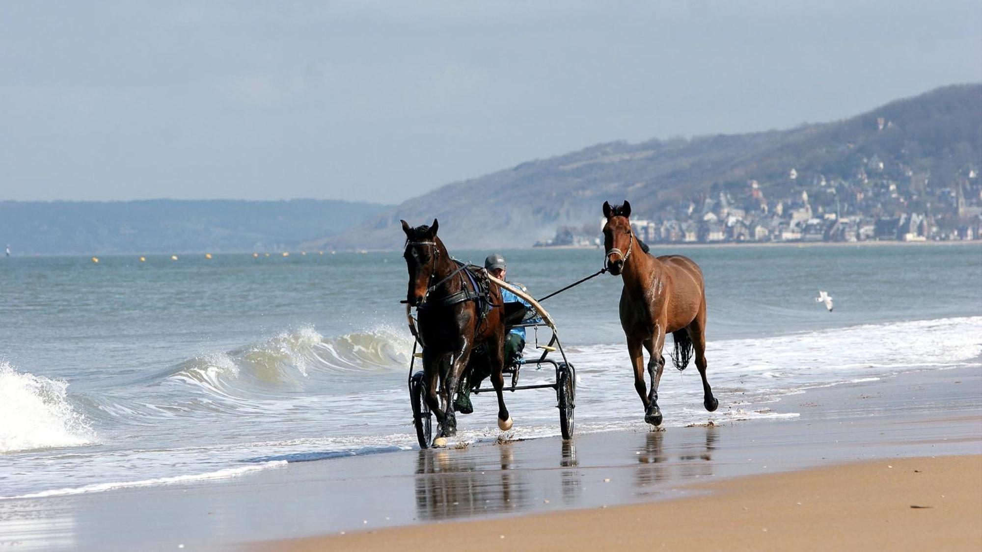Le Nid De Plage A 100 M De La Mer Cabourg Luaran gambar